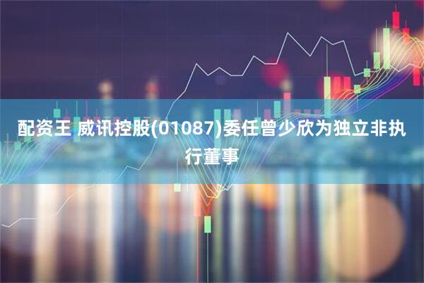 配资王 威讯控股(01087)委任曾少欣为独立非执行董事