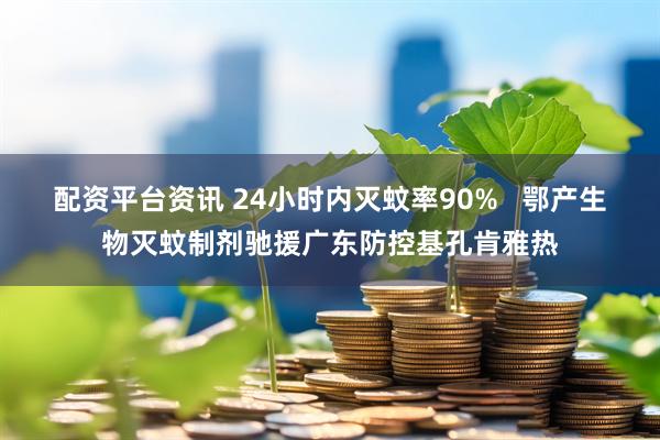 配资平台资讯 24小时内灭蚊率90%   鄂产生物灭蚊制剂驰援广东防控基孔肯雅热
