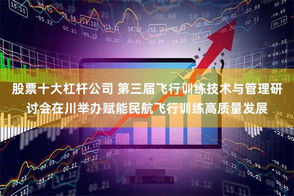 股票十大杠杆公司 第三届飞行训练技术与管理研讨会在川举办赋能民航飞行训练高质量发展